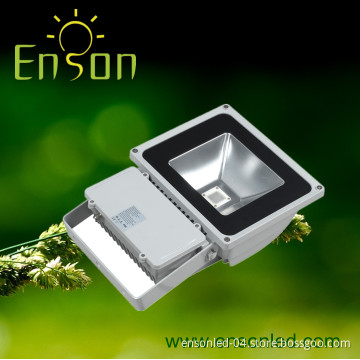60-80W LED Flood Light, LED Flood Lamp, Flood LED Light